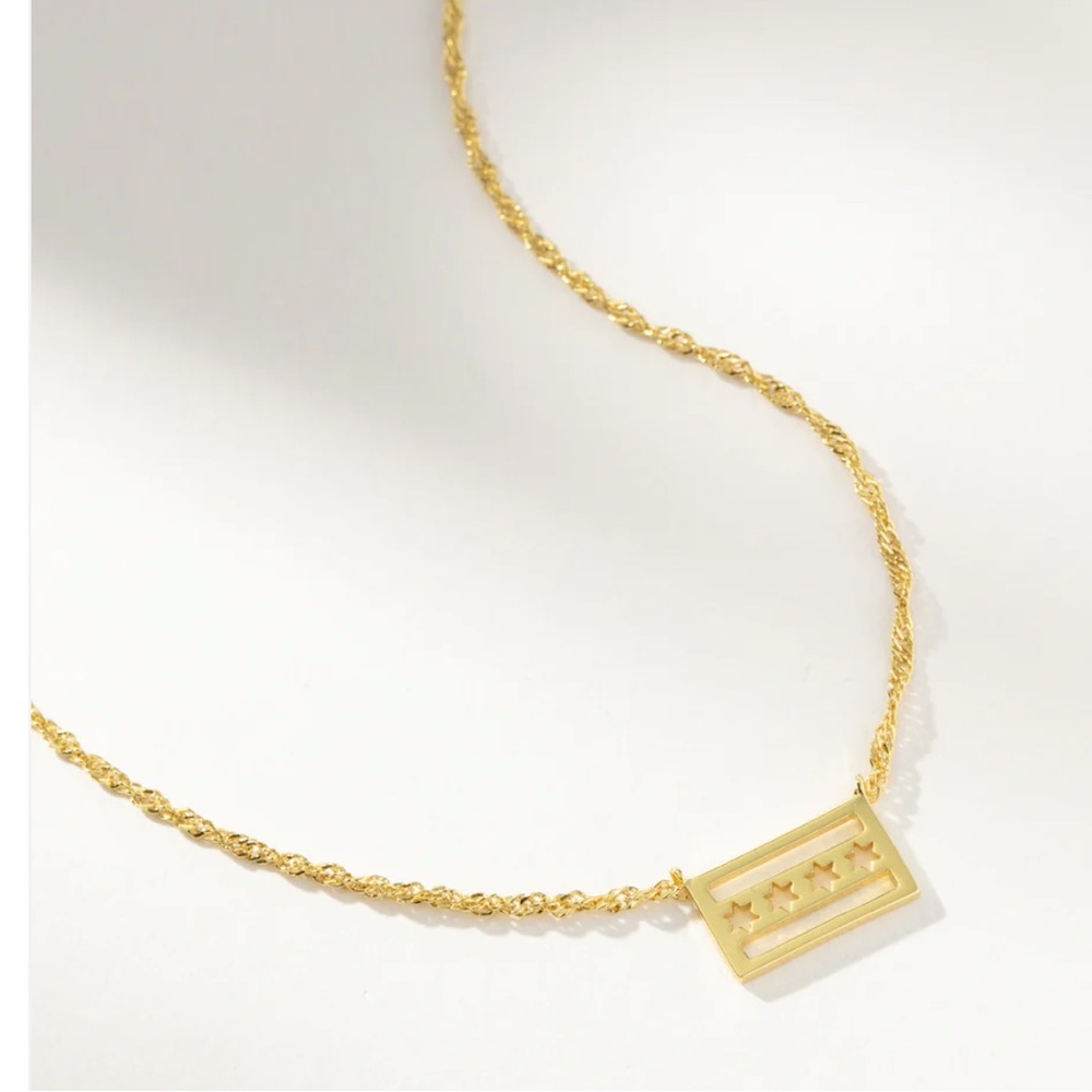 Uncommon James Chicago Flag Pendant Necklace